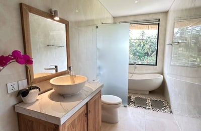 Rental of a new villa with jungle and rice field views, Ubud, Indonesia